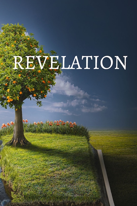 Front cover_Revelation Bible Journal