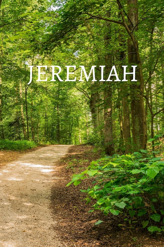 Couverture_Jeremiah Bible Journal