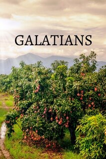 Front cover_Galatians Bible Journal