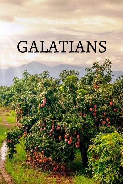 Front cover_Galatians Bible Journal