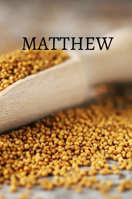 Front cover_Matthew Bible Journal