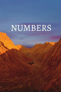 Front cover_Numbers Bible Journal