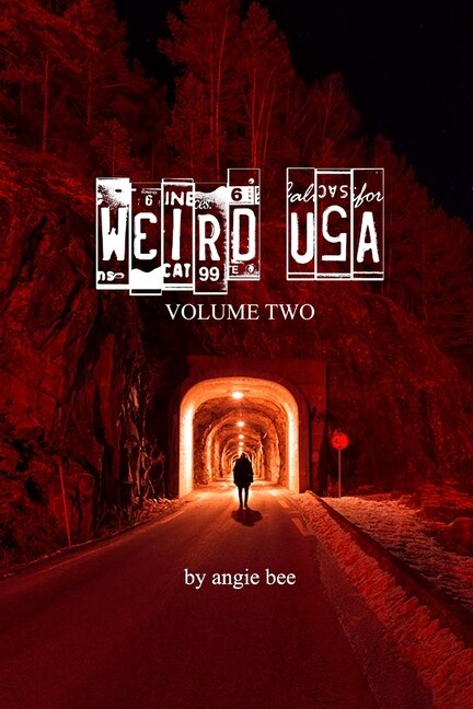 Front cover_Weird, USA Vol. 2