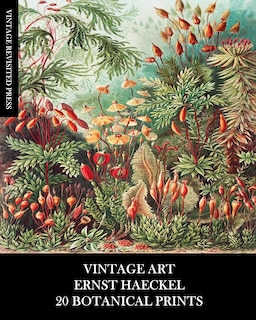 Couverture_Vintage Art