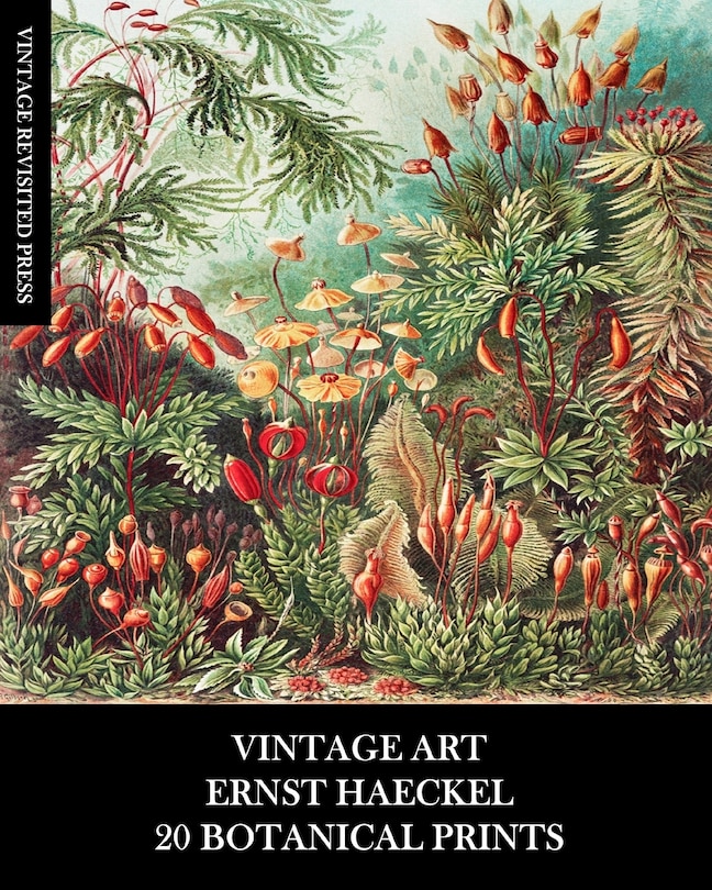 Couverture_Vintage Art