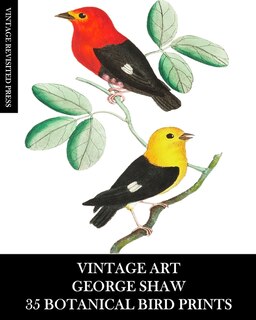 Couverture_Vintage Art