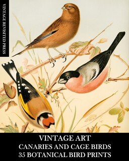 Couverture_Vintage Art