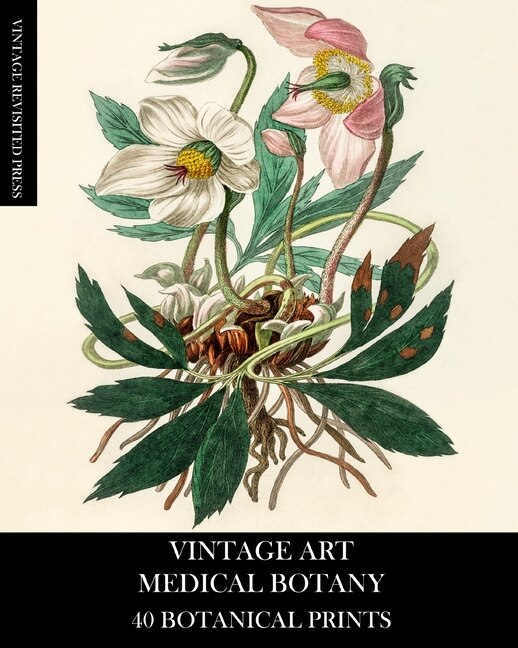 Front cover_Vintage Art