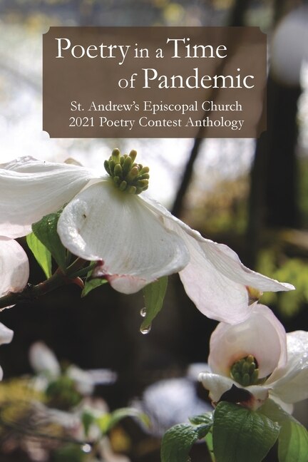 Front cover_Poetry in a Time of Pandemic