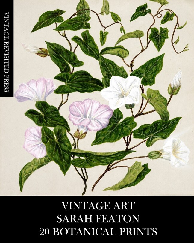 Front cover_Vintage Art