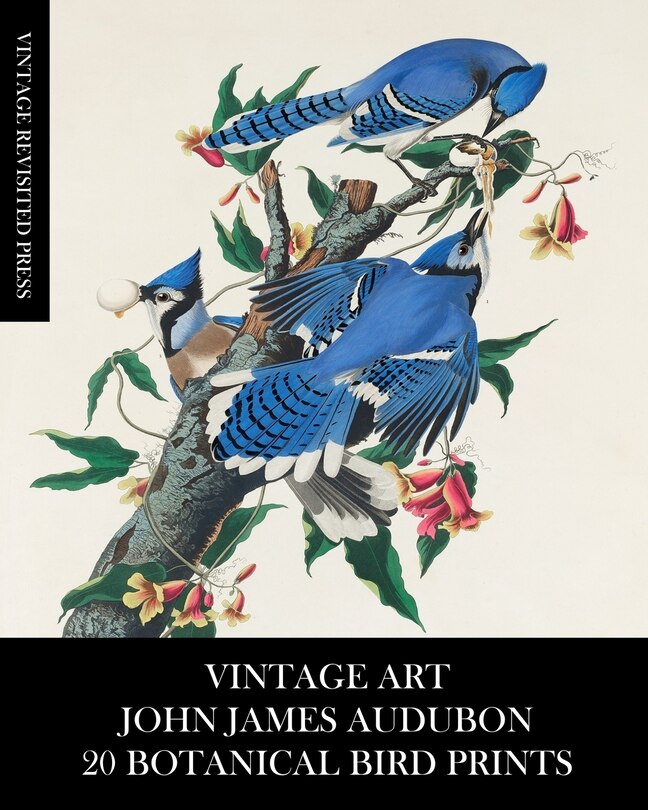 Front cover_Vintage Art