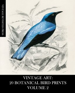 Couverture_Vintage Art