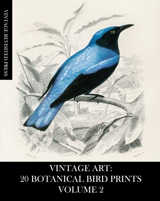 Couverture_Vintage Art