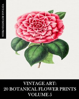 Couverture_Vintage Art