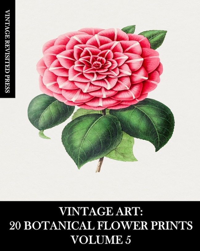 Couverture_Vintage Art