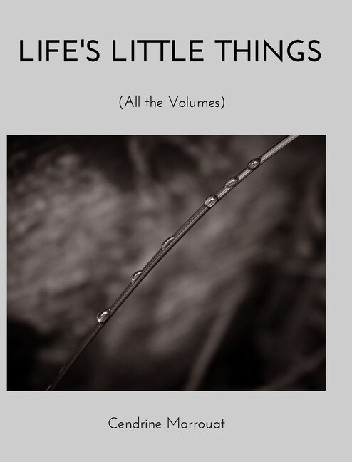 Front cover_Life's Little Things