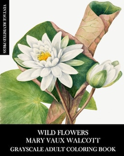 Front cover_Wild Flowers