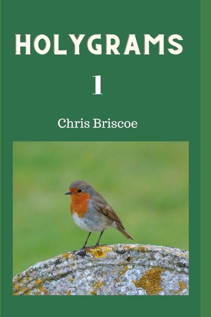 Couverture_Holygrams 1