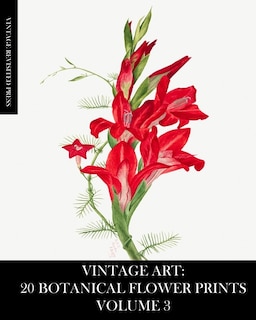 Front cover_Vintage Art