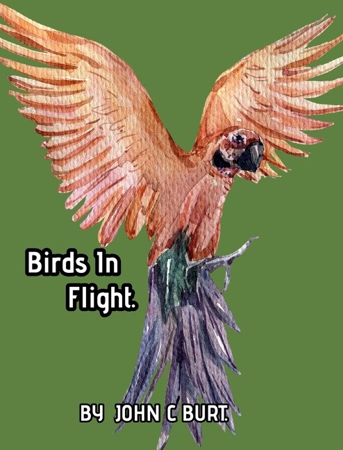 Front cover_Birds In Flight.