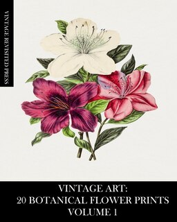 Front cover_Vintage Art