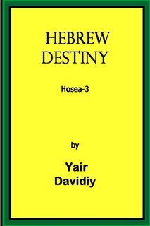 Couverture_Hebrew Destiny