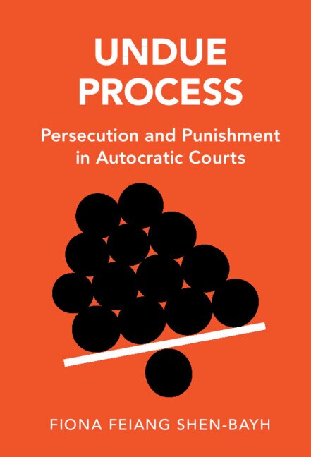 Front cover_Undue Process