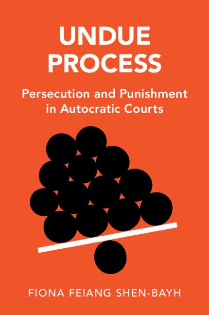Front cover_Undue Process