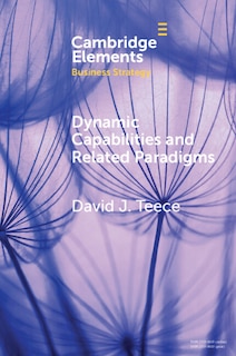 Front cover_Dynamic Capabilities and Related Paradigms