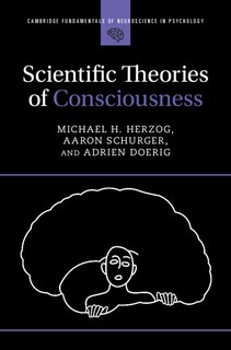 Couverture_Scientific Theories of Consciousness