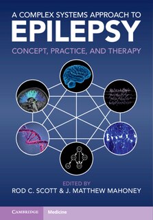 Couverture_A Complex Systems Approach to Epilepsy