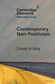 Front cover_Contemporary Non-Positivism