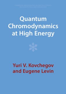 Couverture_Quantum Chromodynamics at High Energy