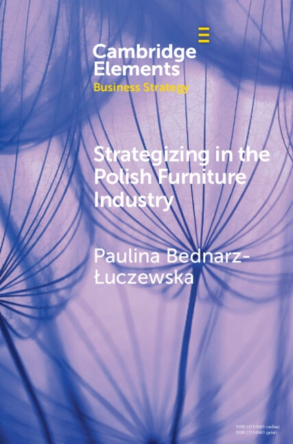 Couverture_Strategizing in the Polish Furniture Industry