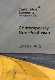 Front cover_Contemporary Non-Positivism