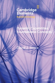 Couverture_Dynamic Capabilities