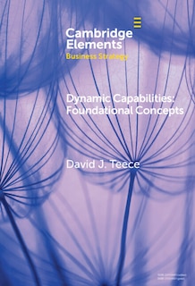 Couverture_Dynamic Capabilities
