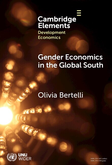 Front cover_Gender Economics in the Global South