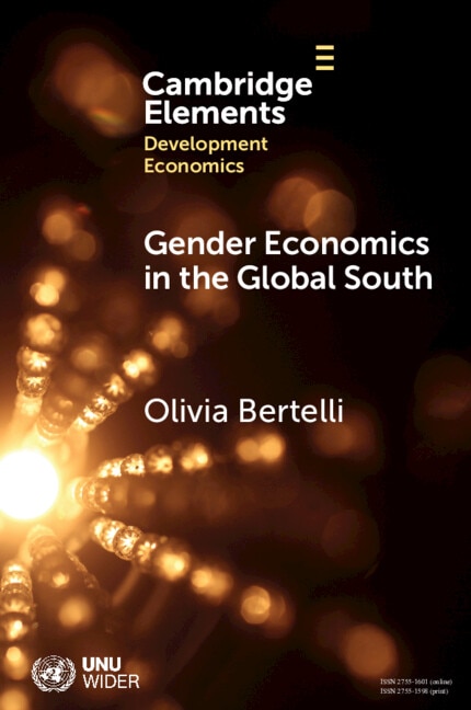 Front cover_Gender Economics in the Global South
