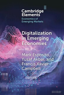 Front cover_Digitalization in Emerging Economies
