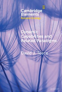 Couverture_Dynamic Capabilities and Related Paradigms