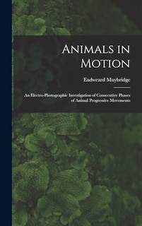 Couverture_Animals in Motion