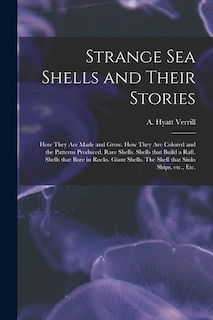 Front cover_Strange Sea Shells and Their Stories