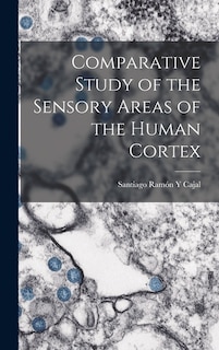 Comparative Study of the Sensory Areas of the Human Cortex