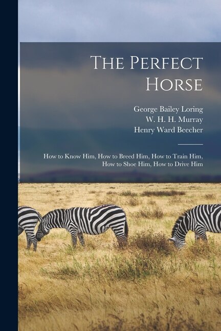 Couverture_The Perfect Horse