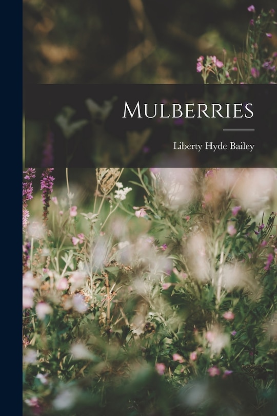 Couverture_Mulberries