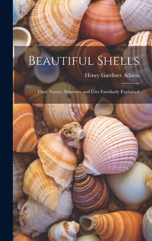 Front cover_Beautiful Shells