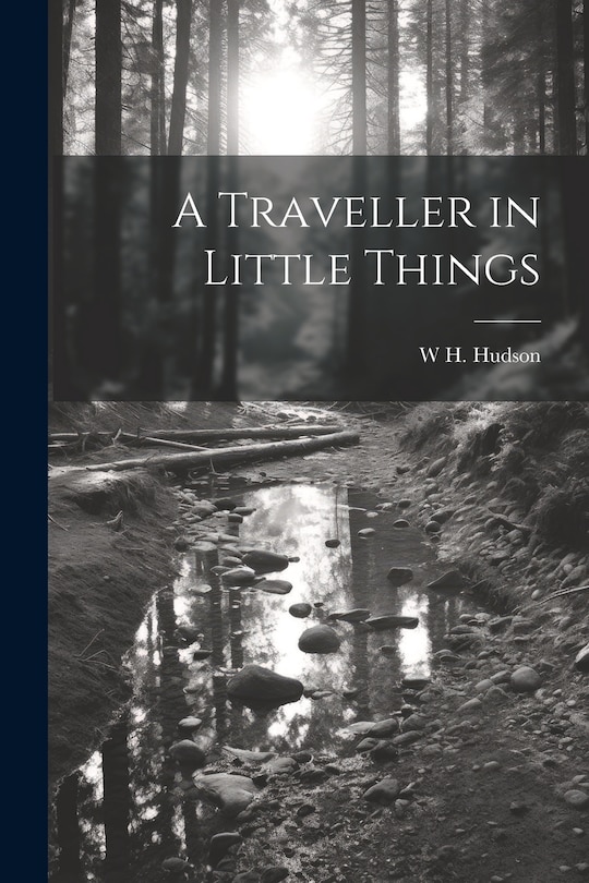 Front cover_A Traveller in Little Things