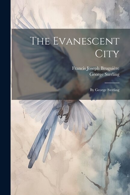 Front cover_The Evanescent City
