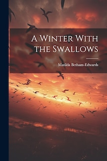 Front cover_A Winter With the Swallows